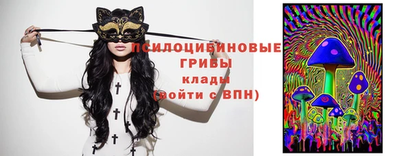 прущая мука Алзамай