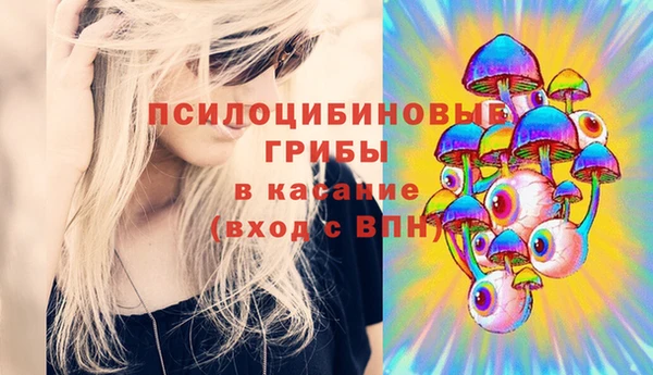 ПСИЛОЦИБИНОВЫЕ ГРИБЫ Алексин