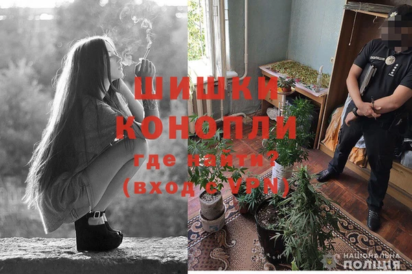 ПСИЛОЦИБИНОВЫЕ ГРИБЫ Алексин