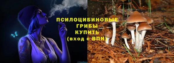 дживик Алексеевка