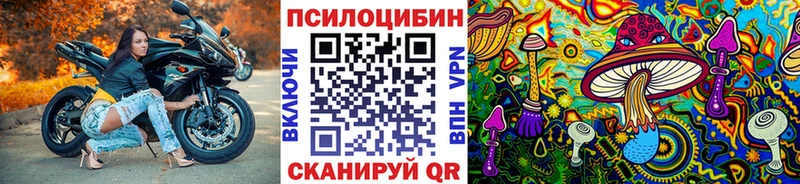 Галлюциногенные грибы Psilocybe  Краснодар 